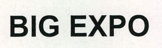 Big Expo Device mark 2228965 Trademark