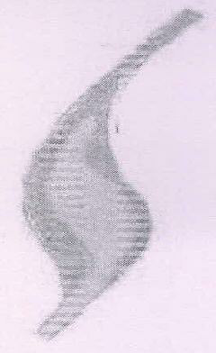 S Device mark 2328306 Trademark