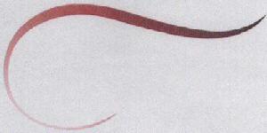 No Name Device mark 1714520 Trademark