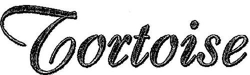 Tortoise Device mark 2041129 Trademark