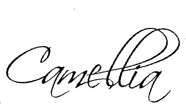 Camellia (special Form Writing) Device mark 1542564 Trademark