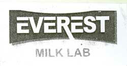 Everest Device mark 1932717 Trademark