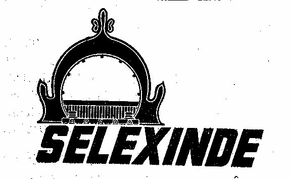 Selexinde Device mark 231109 Trademark