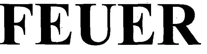 Feuer Device mark 2348153 Trademark