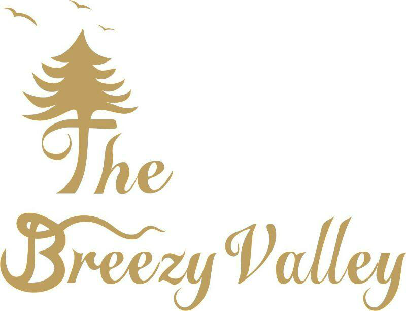 The Breezy Valley Device mark 2597974 Trademark