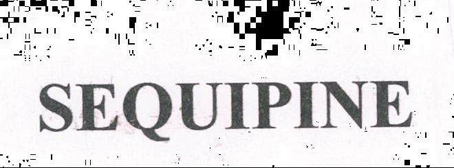 Sequipine Device mark 2071587 Trademark