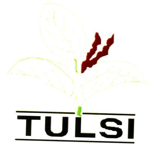 Tulsi Device mark 2602290 Trademark