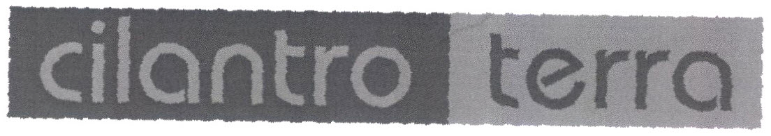 Cilantro Terra Device mark 2921034 Trademark