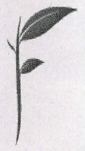 Device Of Leaves Device mark 2311846 Trademark