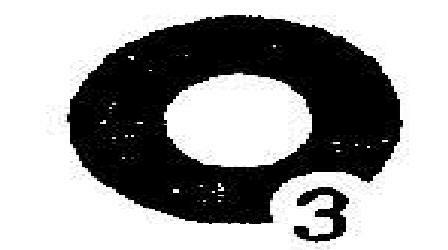 No Name Device mark 1906895 Trademark
