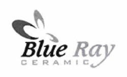 Blue Ray Device mark 2781049 Trademark