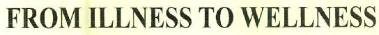 Form Illness To Wellness Device mark 2986743 Trademark
