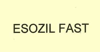Esozil Fast Device mark 2412913 Trademark
