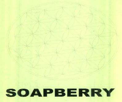Soapberry Device mark 2506706 Trademark