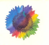 Flower Device Device mark 784770 Trademark