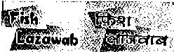 Fish Lazawab (label) Device mark 1338300 Trademark