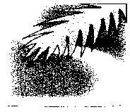 Misc. Geom. (device) Device mark 819773 Trademark