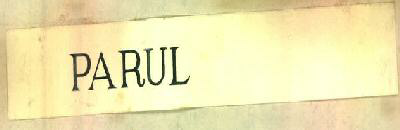 Parul Device mark 457338 Trademark