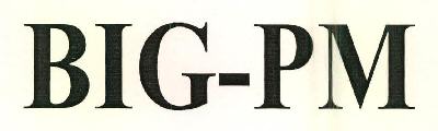 Big-pm Device mark 2636647 Trademark