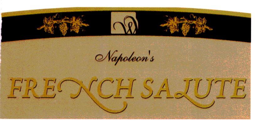 Napoleon`s French Slute Device mark 1934924 Trademark