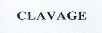 Clavage Device mark 1500302 Trademark