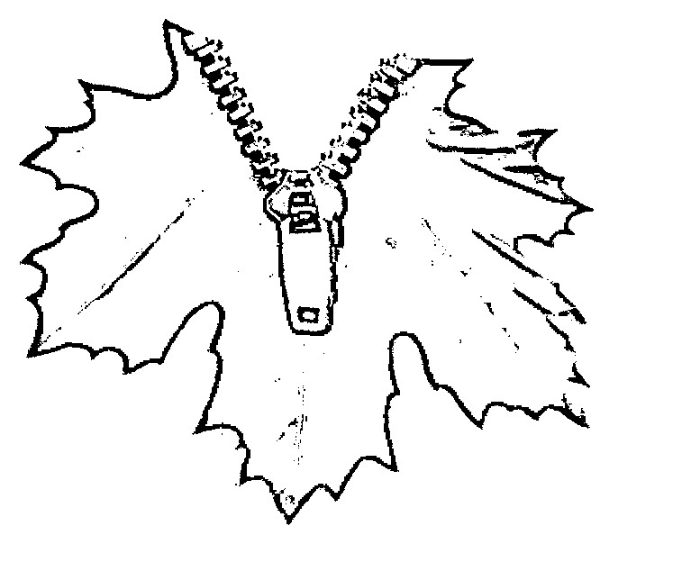 Zip Device mark 1025084 Trademark