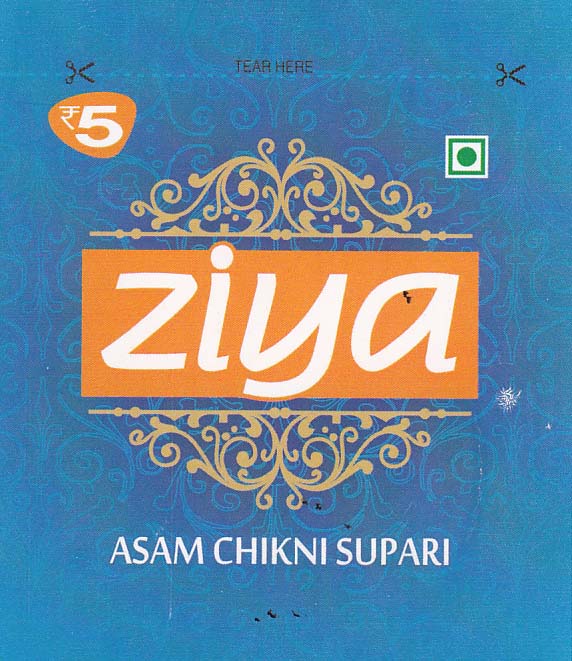Ziya Device mark 2966658 Trademark