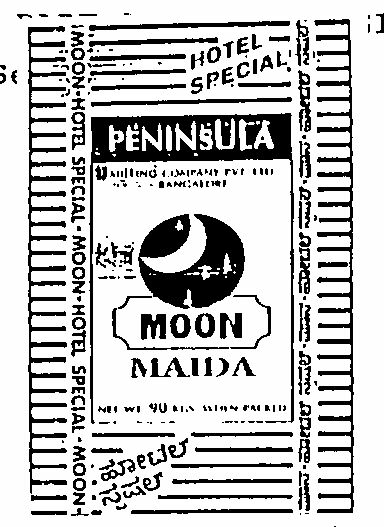 Moon-hotel Special (device) Device mark 582000 Trademark