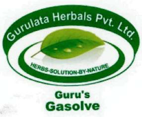 Guru's Gasolve Device mark 2386311 Trademark