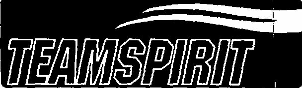 Teamspirit (device Of Double Outline) Device mark 1530862 Trademark
