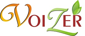 Voizer Device mark 2622694 Trademark