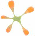(logo) Device mark 1486107 Trademark