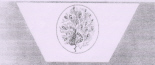 Device Of Pecock Device mark 1731412 Trademark