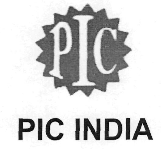 Pic India (device) Device mark 2243054 Trademark