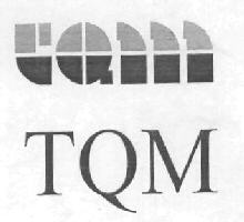 Tqm Device mark 2972533 Trademark