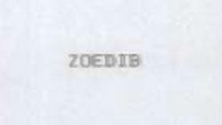 Zoedib Device mark 1057363 Trademark