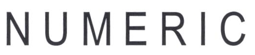 Numeric Device mark 2277352 Trademark