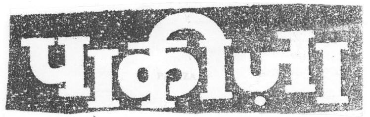 Pakiza (device) Device mark 1669460 Trademark