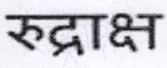 Rudraksha Device mark 1864196 Trademark