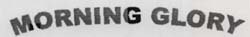 Morning Glory Device mark 1219296 Trademark