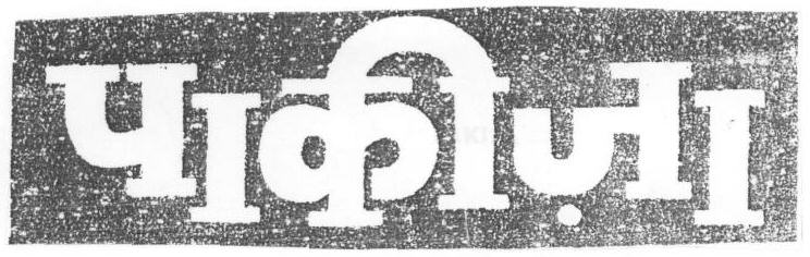 Pakiza (device) Device mark 1669479 Trademark
