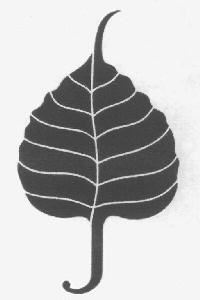 Device Device mark 2769921 Trademark