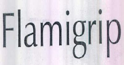 Flamigrip Device mark 2580222 Trademark