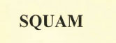 Squam Device mark 2688320 Trademark