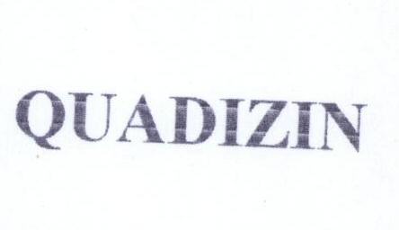 Quadizin Device mark 1489855 Trademark