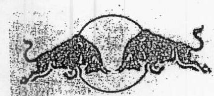 Misc.geo (dev) Device mark 780142 Trademark