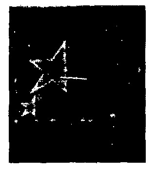 Mecca Usa (lable) Device mark 851432 Trademark