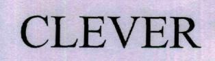 Clever Device mark 1969425 Trademark