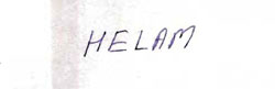 Helam Device mark 912831 Trademark