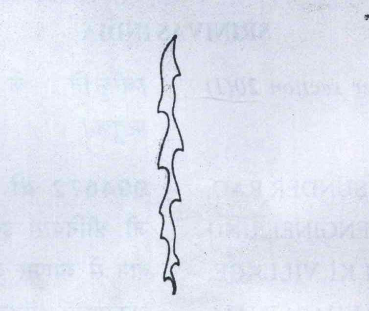 Logodevice (label) Device mark 1000135 Trademark
